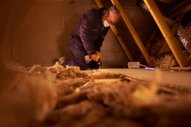 Best Insulation Removal Services  in Blackshear, GA